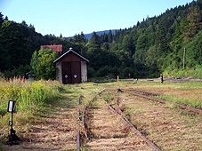 min 117 5.jpg